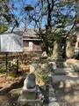 鶴嶺八幡宮の写真_416502