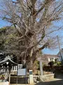 鶴嶺八幡宮の写真_416505