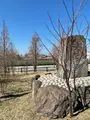 馬入の渡し跡の写真_416518