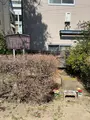 番町皿屋敷 お菊塚の写真_416536