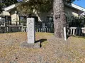 平塚の塚緑地の写真_416538