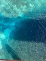 ナガンヌ島の写真_416641