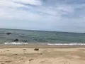 糸島市の写真_416752