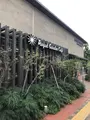 ロイヤル ガーデン カフェ 大濠公園の写真_416763