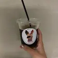 ワールドネイバーズカフェ 清澄白河（WORLD NEIGHBORS CAFE）の写真_416841