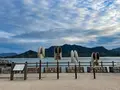 うさぎ耳集音器の写真_416953