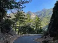 西部林道の写真_417095