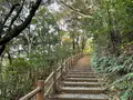 千尋の滝の写真_417180