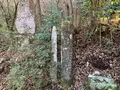 足柄峠の写真_417241