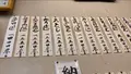 駅前だるまの写真_417322