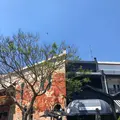 Sonderの写真_417425