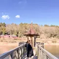 メッツァビレッジの写真_417603