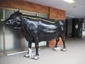 よねおりかんこうセンターの写真_417693