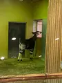 よこはま動物園ズーラシアの写真_417731