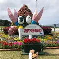 海洋博公園の写真_417871