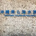 海洋博公園の写真_417872