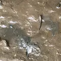 わんさか大浦パークの写真_417887