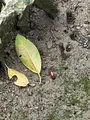 わんさか大浦パークの写真_417888