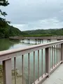 わんさか大浦パークの写真_417889