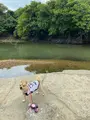わんさか大浦パークの写真_417891