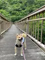 わんさか大浦パークの写真_417892