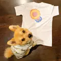 首里琉染の写真_417913