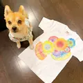 首里琉染の写真_417914