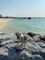 アラハビーチの写真_417919