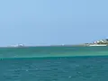 豊崎海浜公園 美らSUNビーチの写真_417940