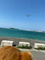 豊崎海浜公園 美らSUNビーチの写真_417941