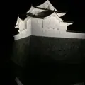 駿府城 本丸跡の写真_418645