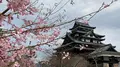 松江城の写真_418875