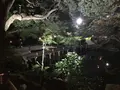 浮月楼の写真_418936