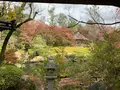 退蔵院の写真_419220