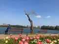 大濠公園の写真_419290