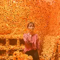 草間彌生美術館の写真_419416