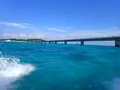 池間島ダイビングサービスの写真_419574