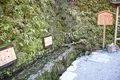 貴船神社の写真_419801