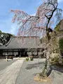 知恩院 勢至堂の写真_419960