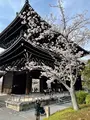 知恩院の写真_419979