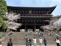知恩院の写真_419987