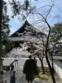 知恩院の写真_419990