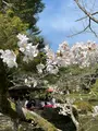 東神苑の写真_420011