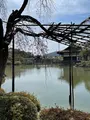 東神苑の写真_420019