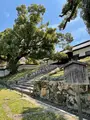 青蓮院門跡の写真_420119