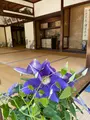 青蓮院門跡の写真_420127