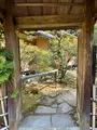 青蓮院門跡の写真_420136