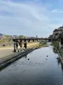 三条大橋の写真_420215