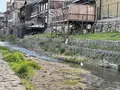 三条大橋の写真_420218