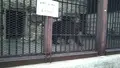 姫路市立動物園の写真_420298